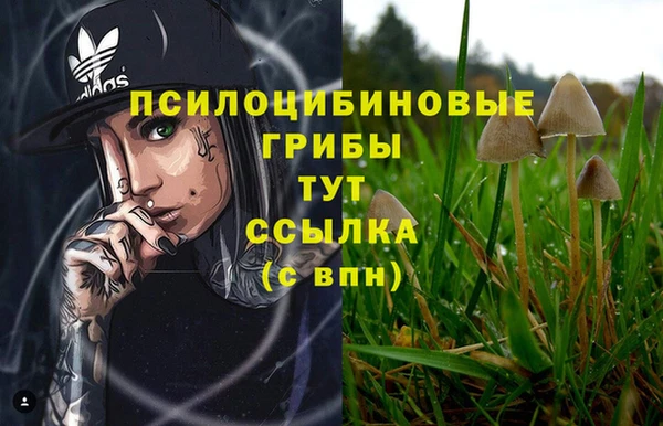 бошки Покровск