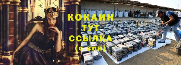 бошки Гатчина