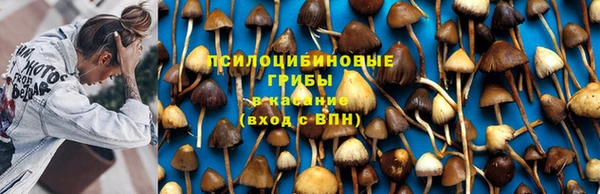 бошки Покровск