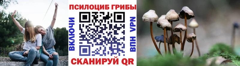 Галлюциногенные грибы Magic Shrooms  Богородск 