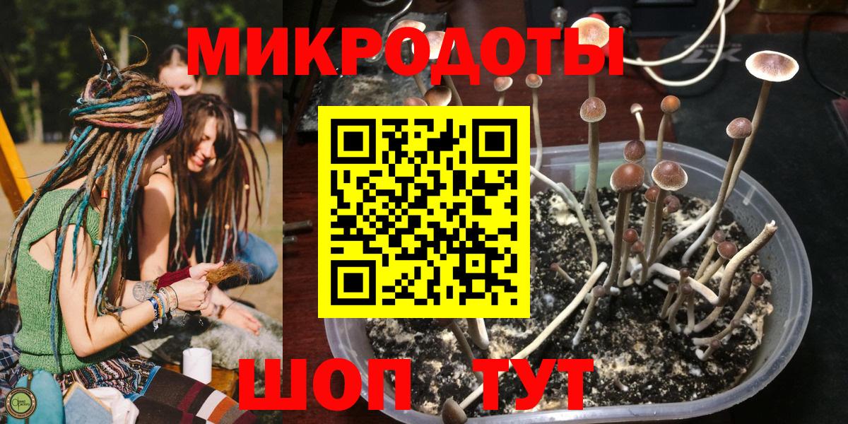 Галлюциногенные грибы GOLDEN TEACHER Богородск
