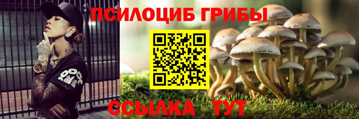 где купить наркотик  Вход с VPN  Богородск  Псилоцибиновые грибы Psilocybe 